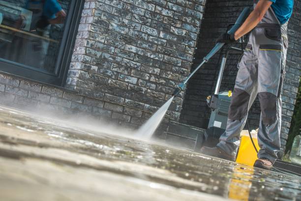 Best Concrete Sealing  in Trenton, MI