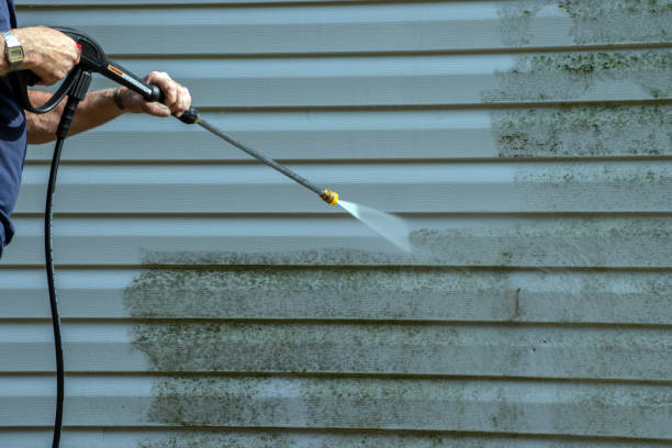 Best Restaurant Pressure Washing  in Trenton, MI